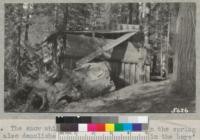 The snow which crushed headquarters in the spring of 1933 also demolished the roof on this cabin in the boys' camp which had been built by the Kern County boys. Whitaker's Forest, April 1933. Metcalf