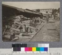 Longleaf Pine bolts to be cut into slack cooperage staves for rosin barrels near Deland, Florida