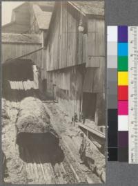 Large redwood log being pulled into mill. Dolbeer-Carson Lumber Company, Eureka, California. May 24, 1920. E. F