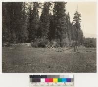 Camp Califorest. Grass and grazing sample plot in meadow below camp. E.F. July 1, 1936