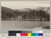 A portion of Silver Lake from the Island, looking toward Spanish Peak. (See also #3697) The rowboat is the only boat on the lake and is owned by the Spanish Peak Lumber Company, near Camp Califorest. August, 1926