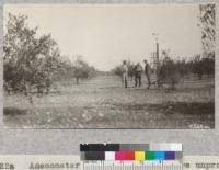 Anemometer set up in lemon grove unprotected from wind near Fontana, California. Poor condition of trees is due to lack of cultivation and care, as well as wind damage. Metcalf. Feb. 1928