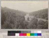 Looking down the Gualala River from a point on the road from Annapolis to the Coast. Showing character of tree growth-dense second growth with many old growth trees left from early logging interspersed. June 5, 1922