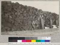 52" redwood shingle bolts at Stoodley's Mill, Soquel Avenue, Santa Cruz, California. 1922. E.F