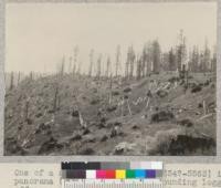 One of a series of 17 views (#5546-5563) in panorama (entire 360 degrees) of surrounding logged-off area, from stump #1046 on University of California experimental area of 1928-1930 in NW 1/4 NE 1/4 Sec. 1 T2S, R2E. Photo at noon in bright sun. 7-7-32, E.F