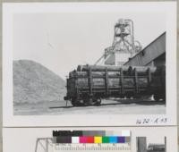 Logs for paper pulp at Fibreboard plant, Antioch, California. Cars have special supports for carrying logs from Hobart and Eureka