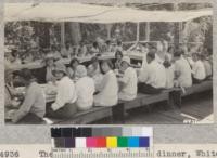 The Madera 4-H Clubs at dinner, Whitaker's Forest, 1929