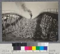 Pile of pulpwood and conveyors along bank of Miramichi River at Chatham, New Brunswick. Smoke stack of steamship in background. 1919