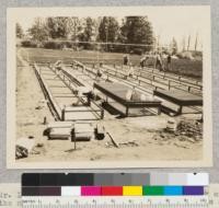 Mr. Lumsden and his crew of eight men at work on the nursery - 5 men planting, 2 preparing beds and 1 putting up frames. Note sprinkling line overhead not yet connected at left. April 26, 1926. Eddy Tree Breeding Station