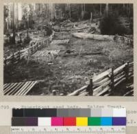 Experiment seed beds. Walden Tract. Humboldt State Redwood Park. Area fenced. See also 5794. March 1935. E. F