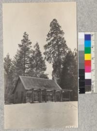 Snow scenes at Whitaker's Forest. April, 1929. Metcalf