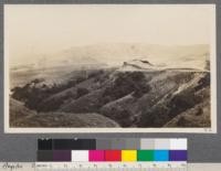 The Puente Hills looking east from summit to Tumbull Canyon Road toward Puente. Shows character of country. Malcolm Puente grove situated near extreme left edge of the picture. May, 1916. Los Angeles County, California