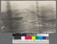 Panoramic view from a high point of the hill land on the Citrus Experiment Station at Riverside, June, 1918