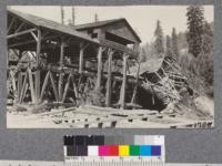 Mill at Andersonia, Humboldt County, 15 years after completion. Never cut a board. Mr. Anderson killed in the mill. Five million feet of redwood logs are lying in the old pond. Machinery, including two Allis-Chalmers bank saws never removed. August 1921