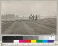 Peters, Gerhardy, Davis and Kotok inspect nursery of Union Lumber Company, Ft. Bragg. August, 1926