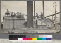 Blow pipe system, cyclones, fuel house, power plant and refuse burner at Box factory and planing mill. McCloud River Lumber Company, McCloud, Cal. June, 1920. E.F