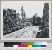 20,000 chemonited white fir 8"x8"x8' cross ties being inspected and loaded out for shipment to Sacramento Northern Railway Company, Chico, California. Treated by Diamond Match Company, Stirling City, California. 6-20-45. E.F