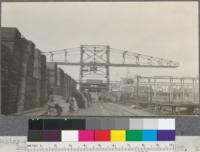 Gantry crane for piling lumber. Hammond Lumber Company, Samoa, California. May 28, 1920. E. F