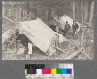 Canadian Pacific Railway Forestry Branch Cruising Camp. Boundary Line American Creek. July, 1920. Kay, Holman and Foley