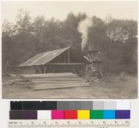 Redwood Region. Sawmill of Wrigley and Russell, on Bull Creek, Humboldt County, California. Custom sawing only. One-half mile west of state park boundary and adjoining mill of Redwood Products Company on the west. See #6666. Double circular, 48" and 54"; 3-saw edger, cut-off saw. 11-1-39. E. F