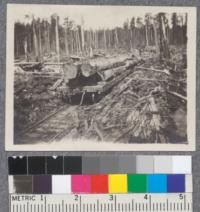 Logging at Hammond Lumber Company. Taken by Byrne 1919