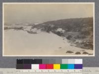 Sand dunes at Asilomar, near Pacific Grove, California. Shows march of the dunes into forest and grassy valley