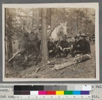 Dunning, Conklin, Muzzall and Professor Mason at the fall camp, Quincy, California, 1915. Dunning's Buck. Cut used in first Forestry Announcement, Oct. 1916. Mulford negative