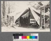 The office tent, Califorest Camp 1920