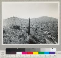 Redwood Region. View from Plot #1623 toward "D" line. Maple Creek, Hammond Lumber Company Big Lagoon operations. Results of logging and great fires of 1936 and 1945. Original stand about 150 thousand per acre. 8-22-49, E.F