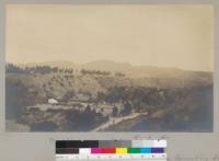 Middle Mesa - from the South. Santa Monica Forestry Station