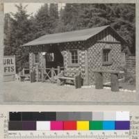 Redwood cabin. Unique roadside novelty ware stand at Redcrest (Englewood) Redwood Highway. Built and owned by F. L. Roubey. The checkerboard part results from alternating the split face and bark surface of young tree truck half-sections--split through center. Mostly sapwood. About 4" long (high); logs were about 10" diameter. 2-21-39 E. F