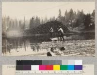 Spanish Peak Lumber Company Pond. Dan Baldwin at R. E. Fritz, July 1929