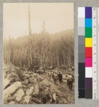 Redwood Logging Conference at Yager Creek, camp of Pacific Lumber Company. 5-22-42, E.F