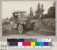 In the Mattole region - out of the redwood belt. 1925