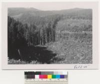 Cascade Head Experimental Forest. To left of "14" showing private logging of 1948 or 49 above farm. Foreground - a block clear-cut 1950. Part burned and part unburned after logging. Traps showed 3-4 million viable seed per acre - N. slope, 600 established 2 year seedlings. Metcalf. October 1952