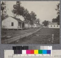 Another view of logging camp of Williams Cypress Company in Southern Louisiana