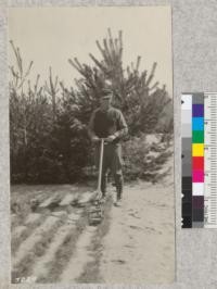 The Barker weeder in rows of 2-1 white pine. Higgins Lake nursery, Michigan. Not much transplanting done and that without boards but by hand along spring line average 3000 per man per day of 9 1/2 hours. Lantern slide made