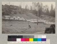 Workman's cabins at Union Lumber Company, Camp #1. Ten Mile River. Measure about 10x14. June 1921