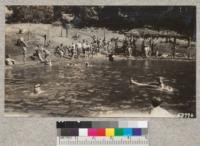 The Madera camp enjoys Whitaker's pool. July 1930