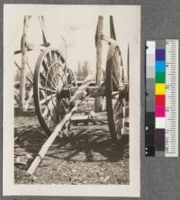 Red River Lumber Company, Westwood, California. Stiff big tongue wheels