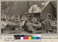 A busy time of day at the Stanislaus 4-H Club camp. W.Metcalf - June 1931