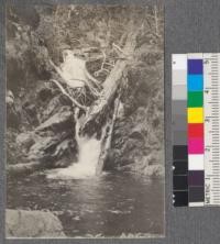 Schneider Creek Falls. Near Califorest Camp. 1920