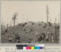 One of a series of 17 views (#5546-5563) in panorama (entire 360 degrees) of surrounding logged-off area, from stump #1046 on University of California experimental area of 1928-1930 in NW 1/4 NE 1/4 Sec. 1 T2S, R2E. Photo at noon in bright sun. 7-7-32, E.F