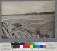 Rafts of White Pine logs on the Miramichi River above New Castle, New Brunswick