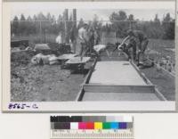 Seedbed prepared, smoothed, seeded, covered with sand and treated with acid by forestry 4-H Club members, Placerville, California under direction of Leader Maguire. May '51