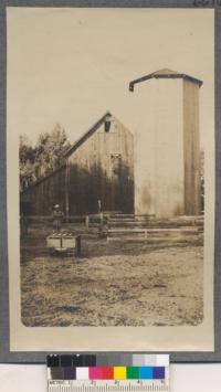 Utilization of Sugar Pine. Views taken of the construction of a sugar pine silo. Tuolumne Lumber Company. Modesto, California. Silo octogon. Round on inside