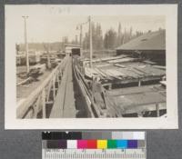 Red River Lumber Company, Westwood, California