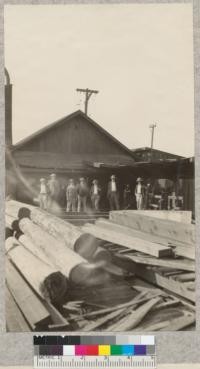 A portion of Forestry 112 on a field trip to the Hart-Wood Lumber Company's custom sawmill in San Francisco. The round logs in the foreground are Douglas fir pile butts. Sept. 1925. E.F