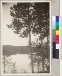 A bay of Lake Itasca, Minnesota through Norway Pines