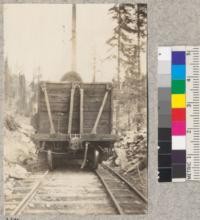 Type of car used by Yosemite Lumber Company. Showing calk-head to hold logs on incline. 1923